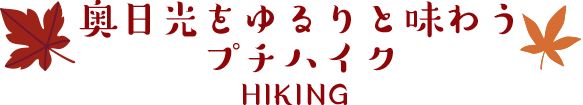 奥日光をゆるりと味わうプチハイク